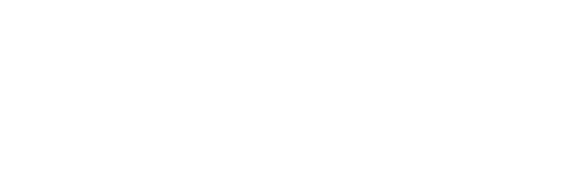 Chelmsford City Council